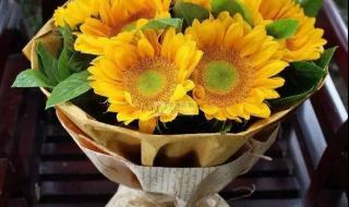 教师节献给老师的歌