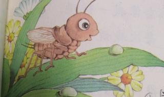 我是一只小虫子 我是一只小虫子