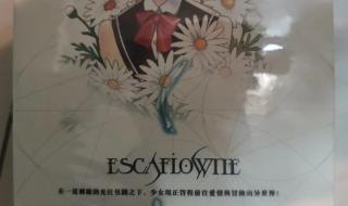 秀逗魔导师 秀逗魔导师