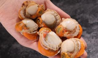 元贝驾考科目三