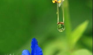 人生就像愤怒的小鸟